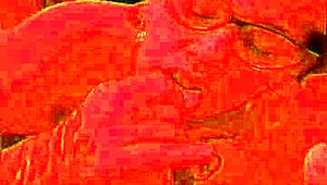 Argentinian Tattooed Whore Talks Dirty While Pulling Condom Off For Cumshot