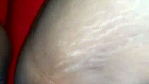 Tattooed Pornstar Enjoys Fun Time