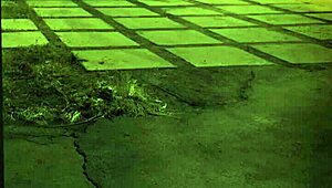 female muscle domination hits hard first time, unless you're stuck in the sixties