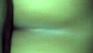 Buckshots fired in the backseat of the car during the ride