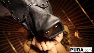 sexy dani daniels is trapped like a bitch in that dog cage, so hot 😈