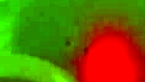 gay guy self fucking with anal toys