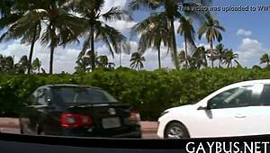 Exploring Gay Content On Homo Tube