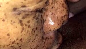 Mroutlaw's Mommi Snaps Collection