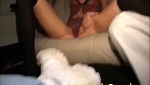 lisa marie says, 'suck and fuck in the rough car gangbang'