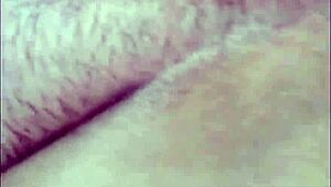 Tasting My Cat's Delicious Fur