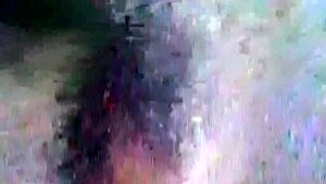 Brunette Shows How To Suck A Big Cock