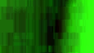 I love sucking that big cock