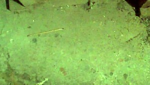 Dirty Feet Fetish Involving Licking and Worship