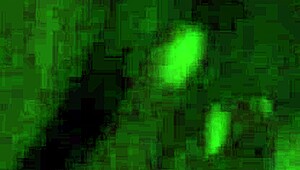 I love sucking that big cock