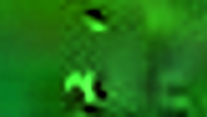 My friends enjoy latina adventures