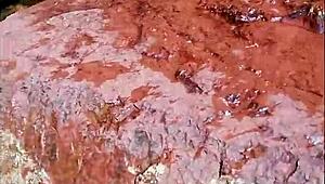 estefii the slut blows and fucks outdoors 😈