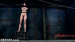 Teasing Punishment Scenes Await