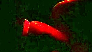 Wife Enjoys Swing House Fun in Barra da Tijuca