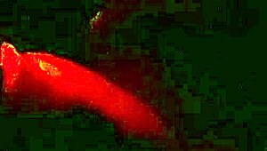 Wife Enjoys Swing House Fun in Barra da Tijuca