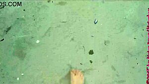 Chubby Amateur in Nylon Pantyhose Strolls Barefoot on Wangerland Beach