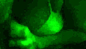 watch this horny latina wife sucking like a slut in homemade video