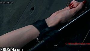 Teasing Punishment Scenes Await