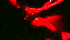 Wife Enjoys Swing House Fun in Barra da Tijuca