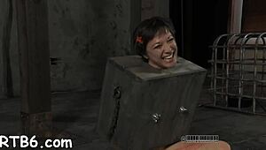 hot slave, wanna see me give the best blow job ever? tell me how you like it!