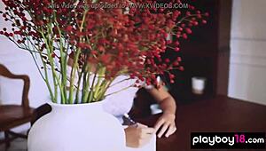 Czech beauty Sophie Limma takes off her lingerie