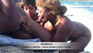 nina rivera and porsha carrera sucking don whoe on beach