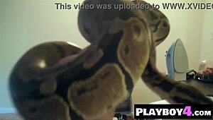 Big ass Asian milf Bryiana Noelle reveals perfect body at photoshoot