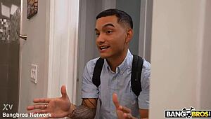 Discover the finest curves on campus with this brunette latina.