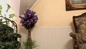 अरे, क्या मेरी स्टेप ग्रैंडमा रियली व्होर है एचडी वॉल 01?