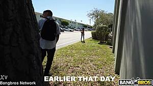 Discover the finest curves on campus with this brunette latina.