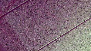 mexican wife enjoys group swingers hotel gathering