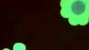 want to fuck your boyfriend?