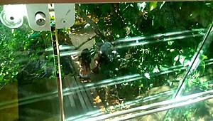 Milf lady enjoys anal assfucking in orgy with fans