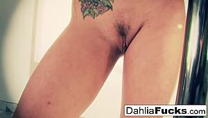 sexy dahlia teases with dildo in her tight wet hole