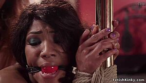 brunette anal bangs tied ebony