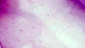 PAU GROSSO NO CUZINHO