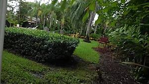 Jovan Jordan and Ny Ny Lew Dominate Connie Perignon's Ass