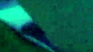 Does this sexy brunette suck and fuck that big black cock?