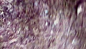 this orgy in the matagal features four dotados novinhos from engenheiro goulart