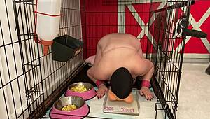 Fuckpig Justafilthycunt Humiliates In Cage With Pissing And Degradation