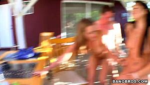 black and white cocks team up for a wild fuck 😈