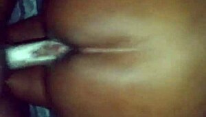 cream on my golden dick while i fuck your fat ebony ass