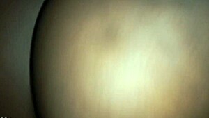 Bold ebony amateur deepthroats big cock in homemade scene