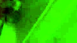 Innocent teen chick sucks cock in POV before getting her tight pussy drilled hard.