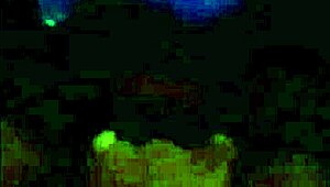 Jermstiq is feasting on latina pussy and fucking hard at the holiday party! 😋🍑