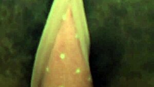 strip tease out her sweats in public bathroom