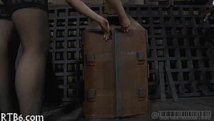 hotty is inside cage