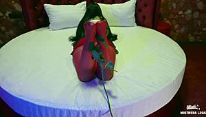 mistress legs in nylons close-ups compilation