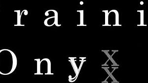 Training Ebony Slut with Big Black Cock for Creampie