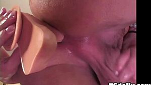 booty tranny sabrina b teases with a monster cock and toys in solo play.